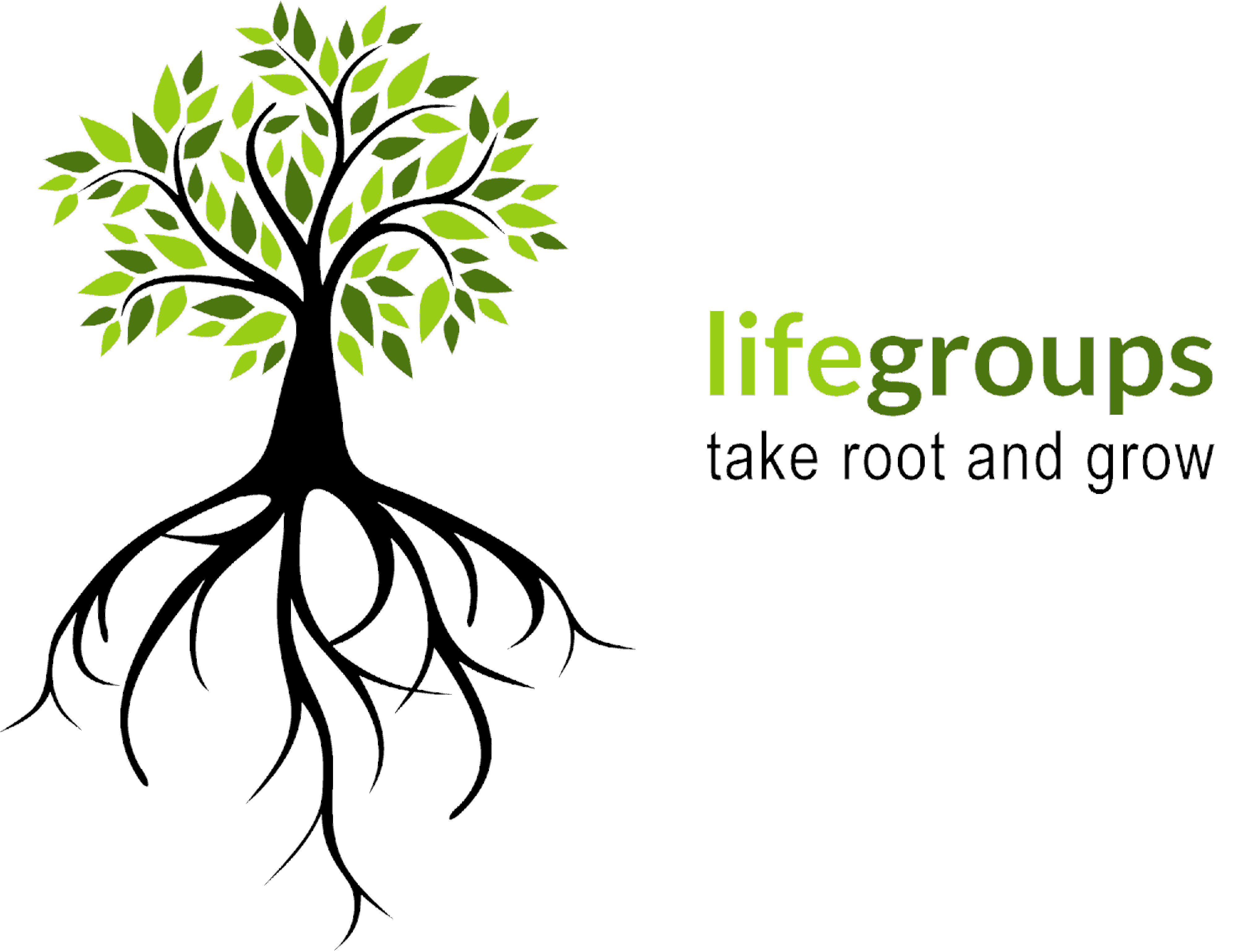 Life Groups